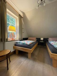 Loh Apartments - Wald.Natur.Ruhe. - Undeloh - 3