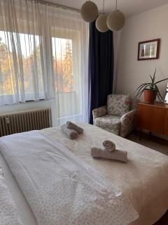 Green paradise near Vienna 3 room and balcony - 5