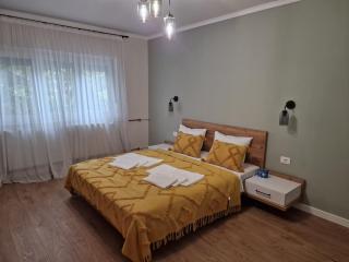 Apartament Alena Oradea - Oradea - 0