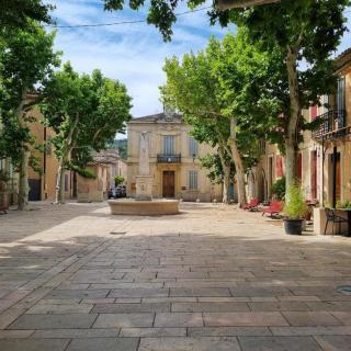 Le provencal - La Roque-dʼAnthéron - 9