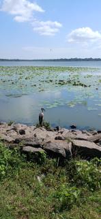 Salsurf Tours Arugambay - 3