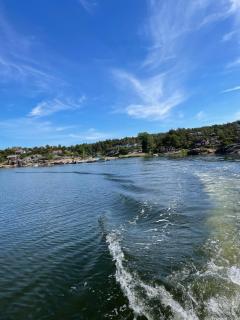 Lys og koselig hytte med flott utsikt og masse sol - Fredrikstad - 8