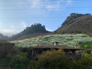 HUA TẠT HMONG Retreat - - 6