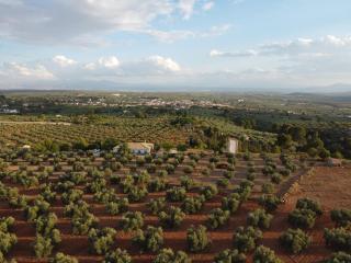 Villa Carmencita - Pozo Alcón - 9