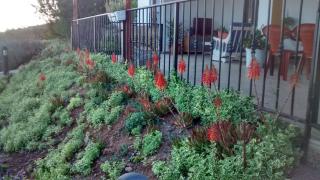 Villa Carmencita - 6