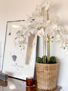 Residencial Tabarca - Alicante - 4