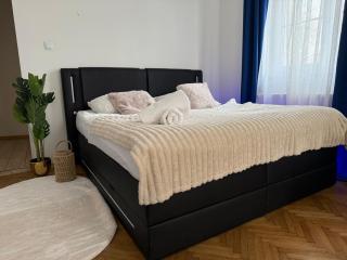 KOBIELA APARTMENTS KTW City Center - Katowice - 5
