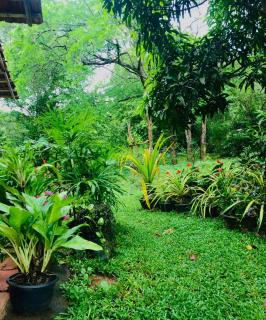 Rekawa edge Home stay - Netolpitiya - 2