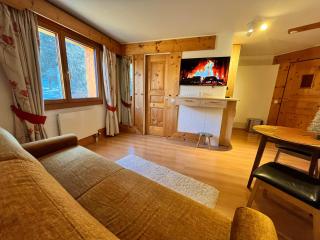 Home in the Clouds - Villars-sur-Ollon - 9