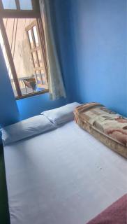 Sunshine Guest House & Restaurant - Dhunche - 1