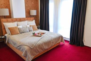 Bucharest Airport Hotel - Otopeni - 9