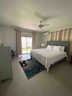 Landing Strip - East Wing Beach House - Black River - 9