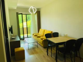 Bakuriani, crystal residence 405 room - 8