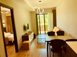 Bakuriani, crystal residence 405 room - 6