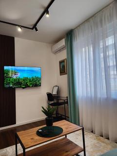 Lux apartment downtown Belgrade - Belgrad - 7