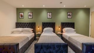 Moseley Village Nest - Birmingham - 7