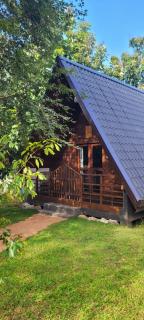 Lion King Jungle Cabanas - 3