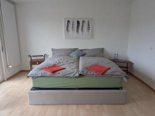 Stilvolles Privatzimmer im Einfamilienhaus nahe Basel - Oberwil - 9