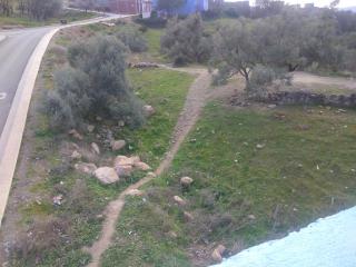 Dar Aalae - Chefchaouen - 4