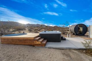 Zebra Shadow By The Cohost Company - Joshua Tree - 3