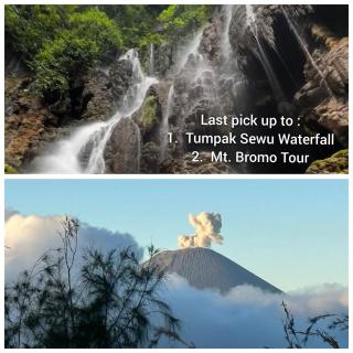 ELTARI Pine House - 6