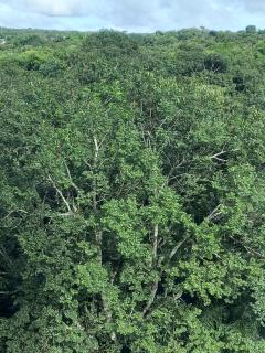 Thermas do Bosque - 5