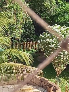 Thermas do Bosque - 6