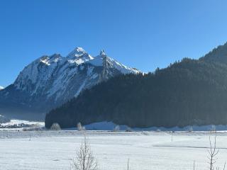 Cozy Chalet Bergblick - Oberiberg - 3
