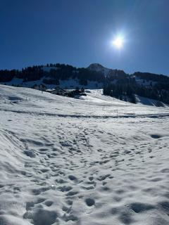 Cozy Chalet Bergblick - Oberiberg - 4
