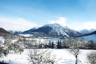 Dammerer Hof inkl. Chiemgaukarte - Ruhpolding - 3