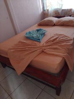 Monkey Beach House - Tortuguero - 4
