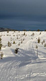 Veslekoia - Grandmas Cabin - 6