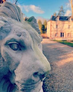 Domaine du Bal - Touques - 0