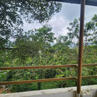 Bethel - Thekkady - 5