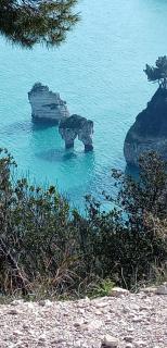 B&B Il Faraglione Bianco - Vieste - 8