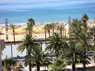 Argia - Salou - 0