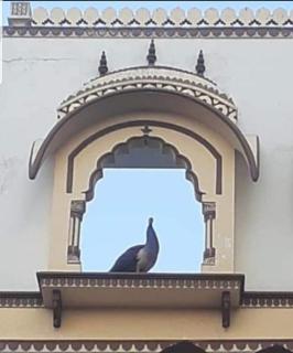 Sureli Haveli - Jaipur - 6