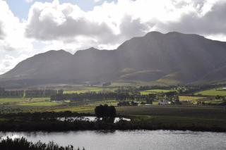 PROVIDENCE VILLA -Tranquil, Neat & Private Cottage - Hermanus - 8