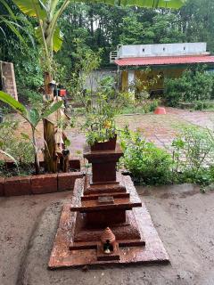 hornbill homestay - Pendur - 5
