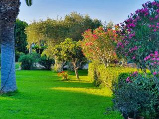 Agriturismo Borgo Levante - 1