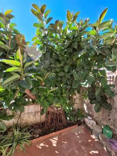 Ida's house - Formia - 2