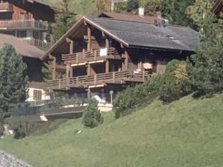 Chalet Orchis - Hasliberg Wasserwendi - 0