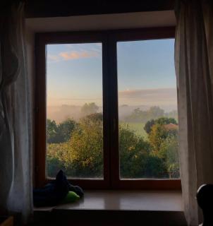 23, Grande Rue, Patreville, Val D'Auge, Charente - Saint-Médard - 8