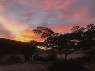 23, Grande Rue, Patreville, Val D'Auge, Charente - 5