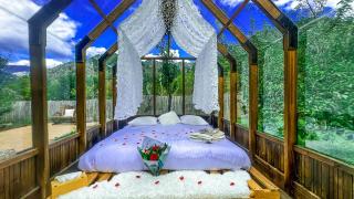 Chalet en verre sous une pluie étoilée - Lantosque - 0