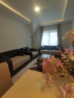 Apartment S&A Milmari Resort S43 - Kopaonik - 3