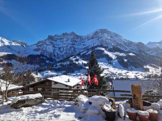 Chalet Gotthelf Gartenstudio, Ferien mit Hund - Adelboden - 9