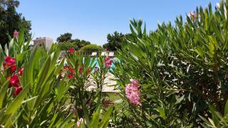 Villa "Sogno" Porto-Vecchio dans résidence avec Piscine - Lecci - 8