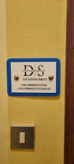 Domus Serradifalco - Palermo - 8