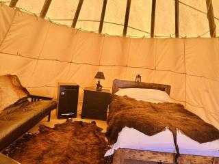 Gorgeous Wild Buffalo Tipi Near West Yellowstone - Cliff Lake - 3